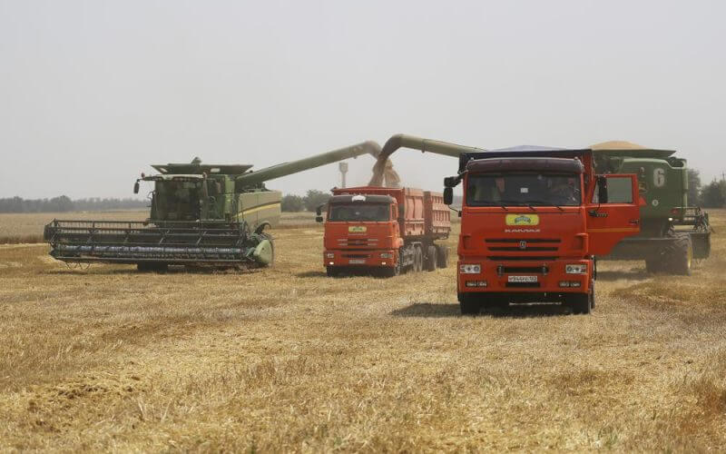 FILE - Farmers harvest with their combines in a wheat field near the village Tbilisskaya, Russia, July 21, 2021. Ukraine and Russia account for a third of global wheat and barley export. (AP Photo/Vitaly Timkiv, File)
