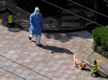A person in personal protective equipment (PPE) walks a dog at a resident community, as the second stage of a two-stage lockdown has been launched to curb the spread of the coronavirus disease (COVID-19) in Shanghai, China April 3, 2022. REUTERS/Aly Song