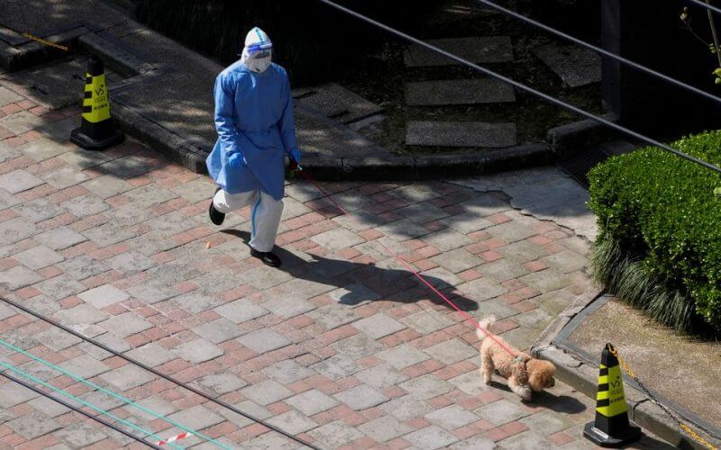 A person in personal protective equipment (PPE) walks a dog at a resident community, as the second stage of a two-stage lockdown has been launched to curb the spread of the coronavirus disease (COVID-19) in Shanghai, China April 3, 2022. REUTERS/Aly Song