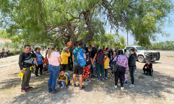 A large group of illegal immigrants crowd under a shady tree as Border Patrol agents organize transport near Eagle Pass, Texas, on May 20, 2022. (Charlotte Cuthbertson/The Epoch Times)