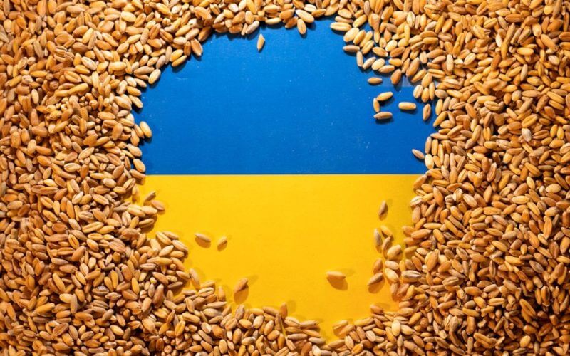 Ukrainian flag is covered with grains in this picture illustration taken May 9, 2022. REUTERS/Dado Ruvic/Illustration/File Photo