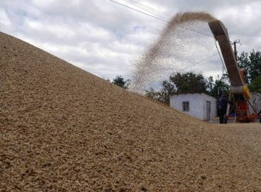 Workers storage grain at a terminal during barley harvesting in Odesa region, as Russia's attack on Ukraine continues, Ukraine June 23, 2022. REUTERS/Igor Tkachenko