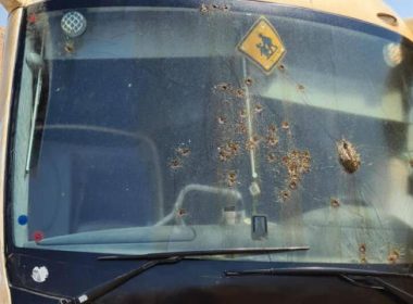 Bullet holes on the bus windshield from a terror attack, Sept. 4, 2022 (Photo: Bus Driver's Union)