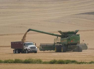 A combine transfers wheat into a grain truck, Thursday, Aug. 5, 2021, near Pullman, Wash. Across eastern Washington, a drought the National Weather Service classified as "exceptional" has devastated what is normally the fourth largest wheat crop in the nation. Ted S. Warren / AP