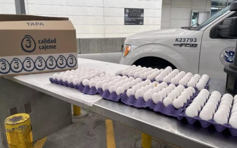 Eggs seized by U.S. Customs and Border Protection. The agency is seeing an increase in the number of people bringing undeclared eggs and poultry over the border amid an egg shortage in the United States.(Courtesy of U.S. Customs and Border Protection)
