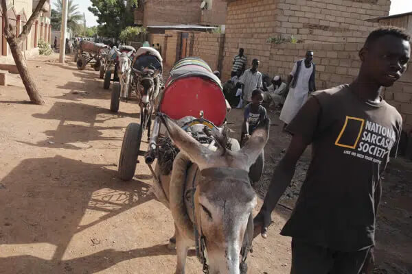 A man leads donkeys pulling water barrels in Khartoum, Sudan, Sunday, May 28, 2023. (AP Photo/Marwan Ali)