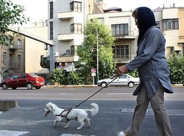 A woman walking a dog in a Tehran street in Iran. iranintl.com