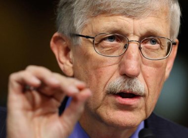 Francis Collins, former director of the National Institutes of Health. Getty Images