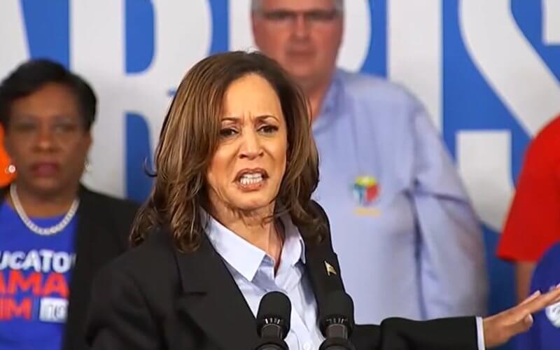 Vice President Kamala Harris campaigning in Detroit, Mich., Sept. 2, 2024. c-span.org