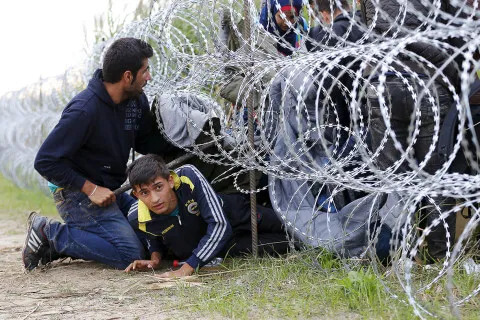 Syrian migrants climb under rolls of razor wire into Hungary at the border with Serbia. Reuters