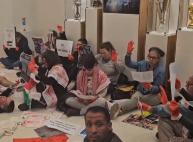 French anti-Israel protesters at the French Football Federation in Paris. x.com